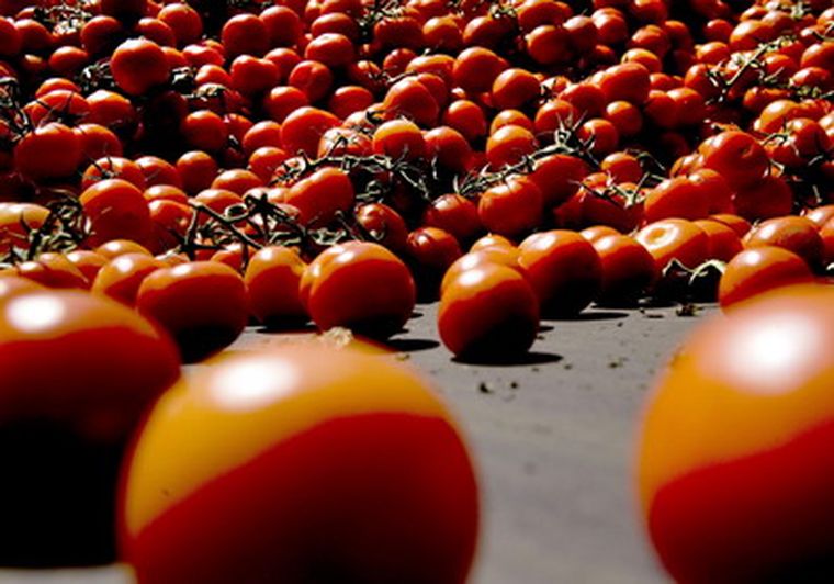 Las barreras sanitarias podrían retomarse en Europa. Foto: efe