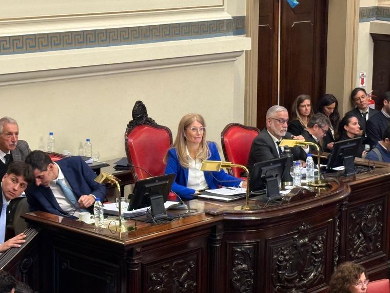 La interna peronista opaco la primera sesión del año del Senado bonaerense