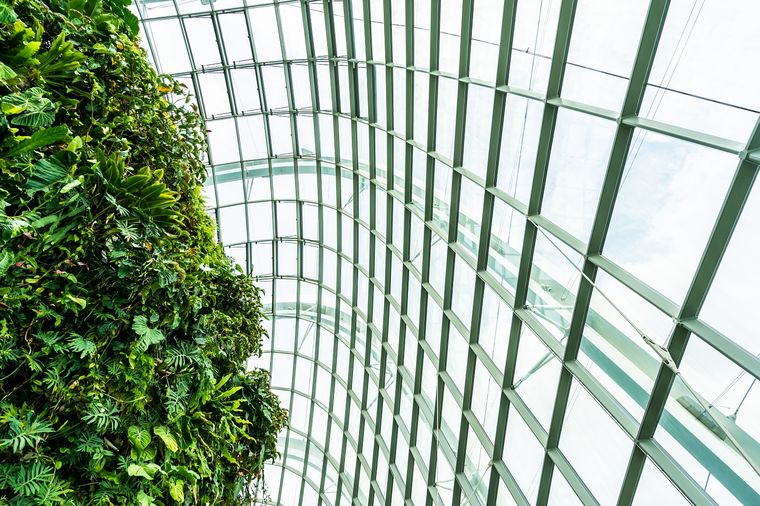 Un jardín vertical para combatir el estrés. Fuente: Freppik.