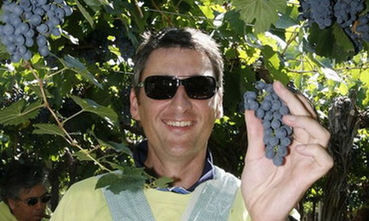 Antonio Álvarez Campillo en tiempos de cosecha. Foto: Nacho Gaffuri / MDZ