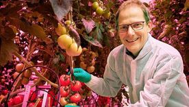 El profesor Leo Marcelis, científico neerlandés, es jefe del grupo de Horticultura y Fisiología de Plantas en la Universidad de Wageningen.