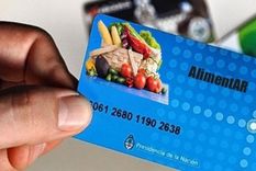 la anses comenzo a depositar el dinero de la tarjeta alimentar