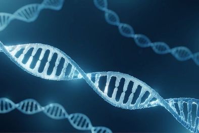 MDZol | Foto: SCIENCE PHOTO LIBRARY