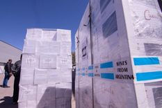 Foto: Foto: Gobierno de Mendoza