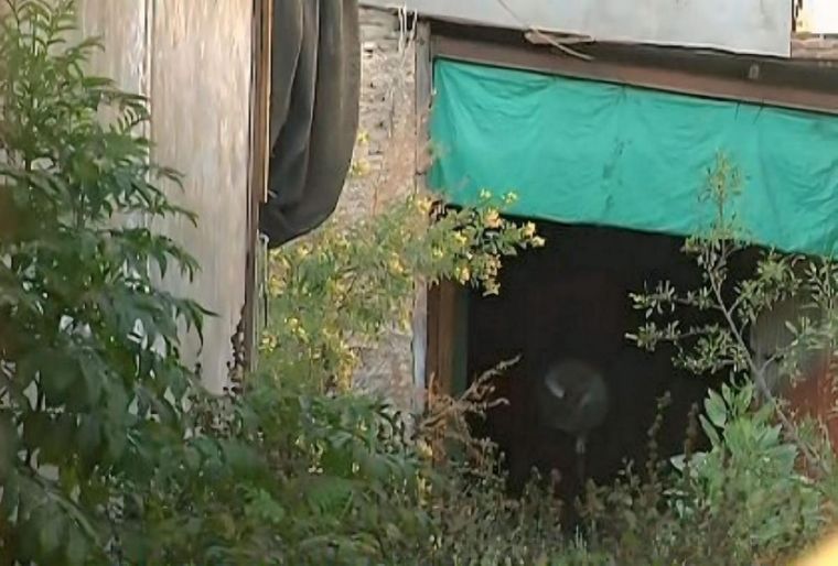 Los vecinos denuncian que a diario tienen que llamar a la Policía por los intrusos que ingresan a la casa abandonada buscando dólares enterrados. Foto: Captura de video