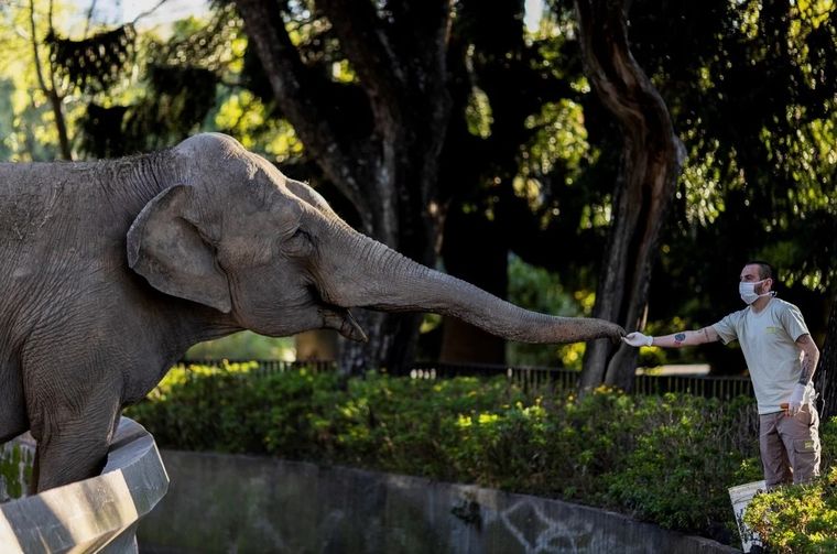 Adiós Mara despidiéndose de Buenos Aires. Ahora será más feliz.