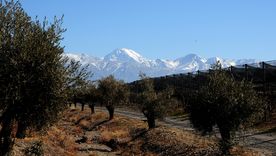 Vinexpo Explorer Mendoza 2026: The Bulk Wine Chapter es uno de los eventos más esperados del año en la industria vitivinícola. Vinexpo Explorer Mendoza 2026: The Bulk Wine Chapter es uno de los eventos más esperados del año en la industria vitivinícola.