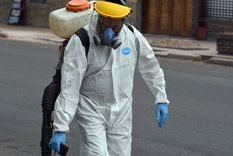 Refuerzan las fumigaciones en todo el país por el brote de dengue. Foto: ALF PONCE MERCADO / MDZ