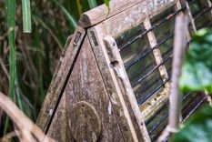 Sencillas pero eficaces: una caja de Ward de madera aquí entre un exuberante follaje.