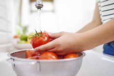 Revalorizar la educación nutricional y culinaria como herramientas de cambio.