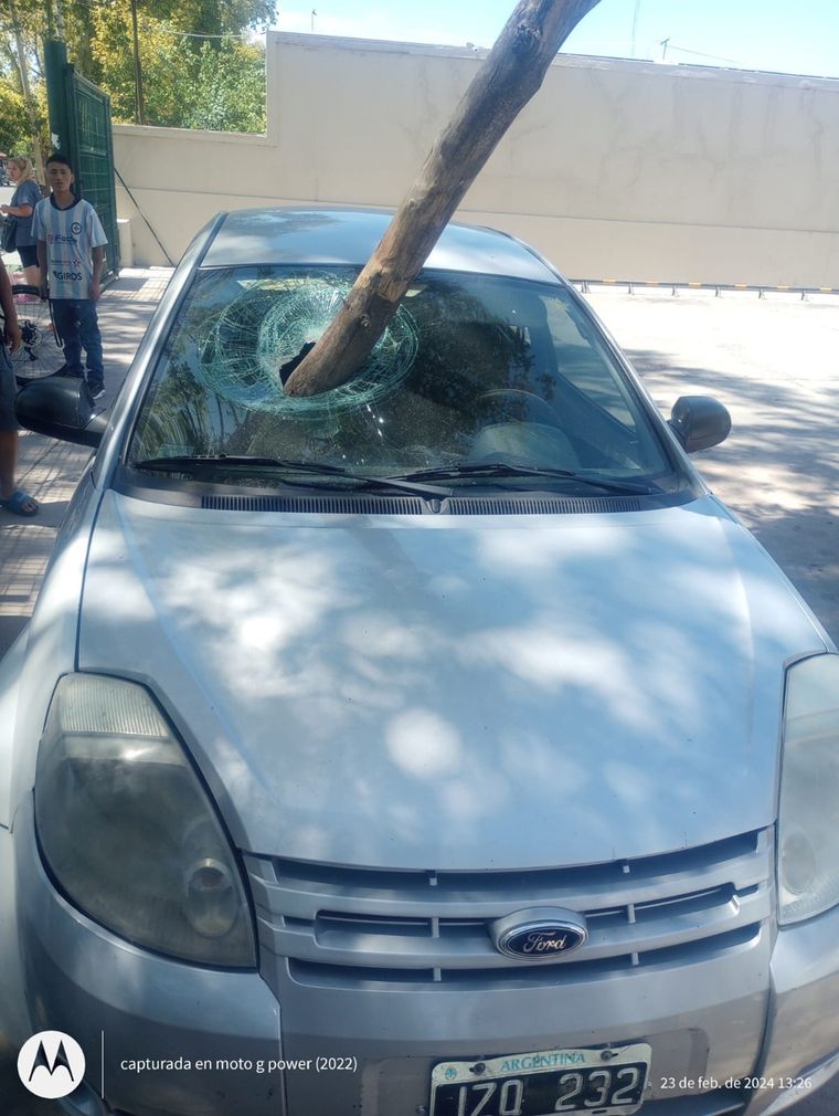 La rama de un árbol se incrustó en el parabrisas de un auto Foto: MDZ
