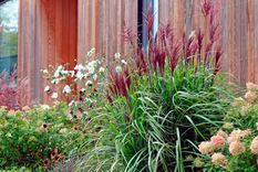 Un jardín radiante todo el año. Foto: Annika Zetterman