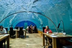 Así, tal como se ve. En Maldivas un restaurante ofrece la posibilidad de almorzar o cenar rodeado de peces y tiburones. Foto: thrillist.com