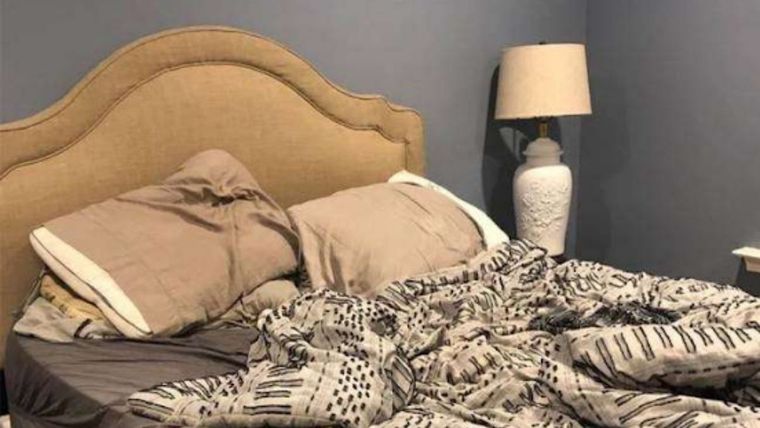 Acertijo visual, reto visual, perro Pinterest