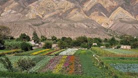 La Paleta del Pintor es la formación geológica más fotografiada de Maimará y debe su nombre a los distintos colores que presentan sus capas de sedimentos y minerales. Foto: Archivo La Paleta del Pintor es la formación geológica más fotografiada de Maimará y debe su nombre a los distintos colores que presentan sus capas de sedimentos y minerales. Foto: Archivo