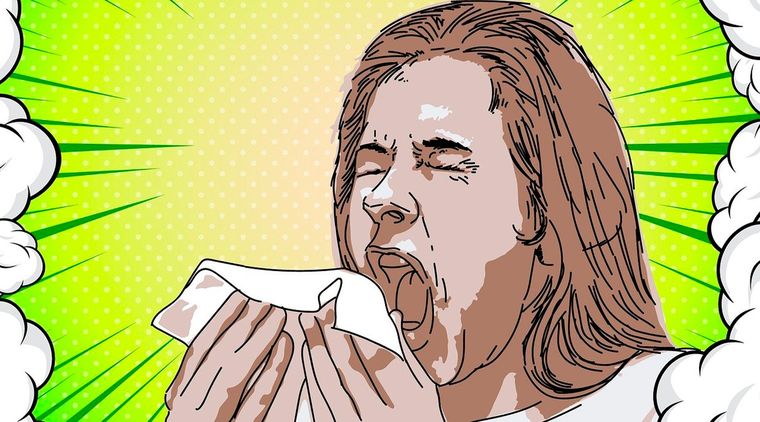 Foto: Pixabay - pixabay.com