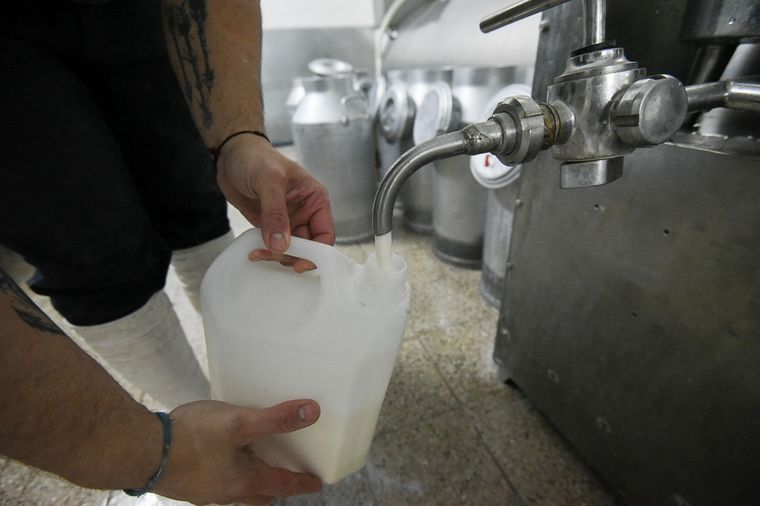 La lechería argentina presenta un panorama auspicioso ante factores globales que juegan a favor de la actividad y las exportaciones del país. Foto: Juan Ignacio Blanco/MDZ