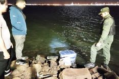 El hallazgo en el Río Paraná Foto: Gentileza