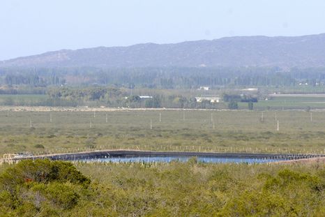 Agrelo es la zona más deseada para los desarrollos vitivinícolas. Agrelo es la zona más deseada para los desarrollos vitivinícolas.