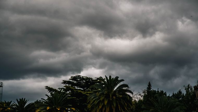 Foto: Santiago Tagua/MDZ