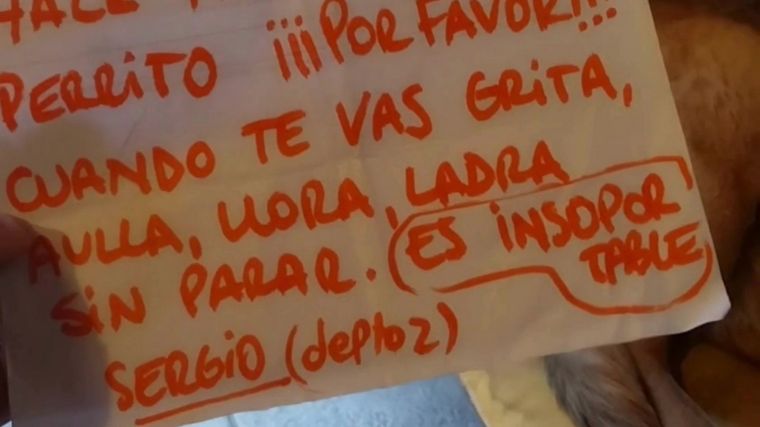 El video del cartel que le dejan al dueño de un perro que llora y aulla cuando él se va a trabajar logró más de 576 mil Me gusta en TikTok. Foto: Captura de video