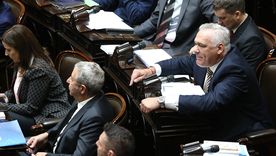 Diputados de Democracia para Siempre, el GEN, Encuentro Federal, Coalición Cívica, Frente de Izquierda, Innovación Federal y Unión por la Patria buscan realizar dos sesiones en agosto.