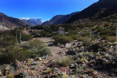 La quebrada de Ranchillos, en Uspallata, donde encontraron el cadáver. Imagen ilustrativa.&nbsp; 