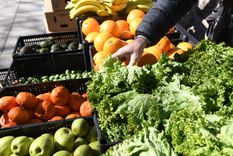 Las verduras de hoja y los cítricos son los productos más convenientes esta temporada. Foto: ALF PONCE MERCADO / MDZ