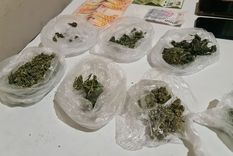 Los operativos fueron en Las Heras, Tupungato y San Martín Foto: Ministerio de Seguridad de Mendoza