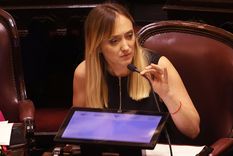 La senadora nacional Anabel Fernández Sagasti. Foto: NA