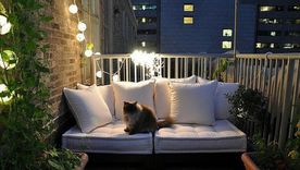 No dejes de tener en cuenta estos tips.