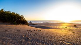 Los pueblos bonaerenses de Mechongué y Otamendi combinan historia rural y cercanía al mar. Los pueblos bonaerenses de Mechongué y Otamendi combinan historia rural y cercanía al mar.