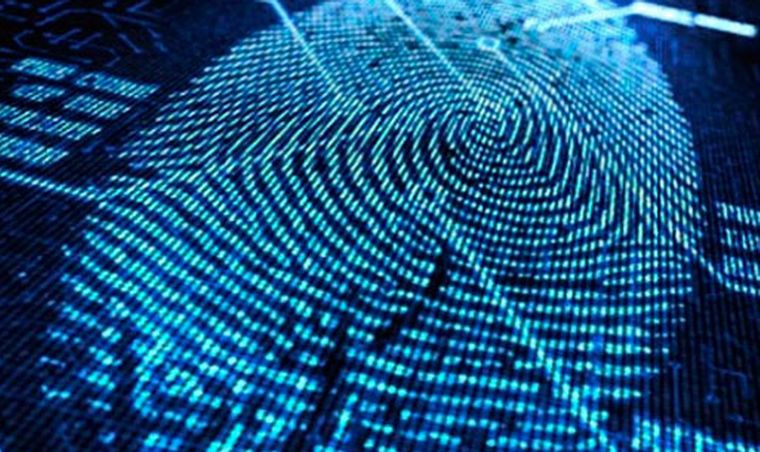 Huellas dactilares El descubrimiento pone en duda la teoría de Juan Vucetich sobre que serían únicas e irrepetibles. Foto: tecnoalt.com