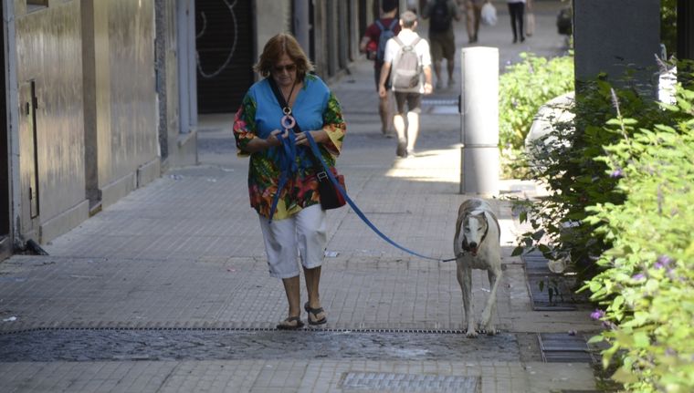 Si se aprueba la Ley Bases, las personas en edad de jubilarse deberán ajustarse a nuevas condiciones. Foto: Juan Mateo Aberastain Zubimendi / Mdz