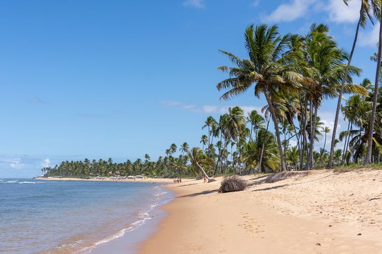 Praia do Forte, Bahía, Brasil Praia do Forte, Bahía, Brasil
