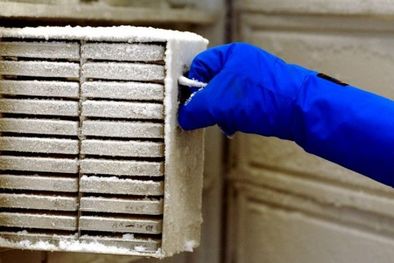 MDZol | Las muestras de 20 años de trabajo quedaron inservibles. Foto: Getty Images