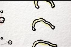 animacion dibujada cuadro por cuadro en una pared