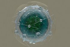 Las grandes corporaciones tecnológicas mueven grandes cantidades de dinero en todo el mundo, pero muchos piensan que no juegan limpio.