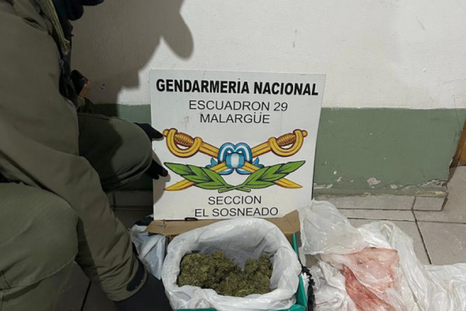 La droga secuestrada en una encomienda enviada desde Mendoza hacia Neuquén. La droga secuestrada en una encomienda enviada desde Mendoza hacia Neuquén.