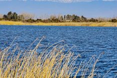 La Laguna Soria es uno de los últimos humedales que dan vida al desierto de Lavalle Foto: Gentileza