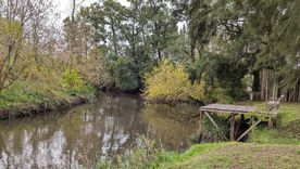 El disparo ingresó a la altura del omóplato, aunque no habría comprometido órganos vitales, según los primeros reportes médicos. El disparo ingresó a la altura del omóplato, aunque no habría comprometido órganos vitales, según los primeros reportes médicos.