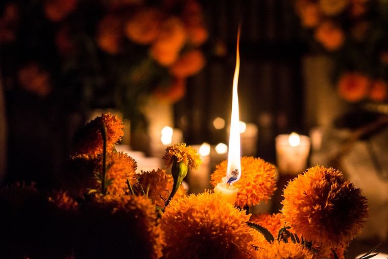JARDÍN PARA EL DÍA DE MUERTOS, SE UTILIZAN DIFERENTES FLORES COMO OFRENDA. Foto: SHUTERSTOCK