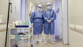 Buenos Aires y Salta concentran la mayor cantidad de casos de hantavirus registrados en la temporada actual. Buenos Aires y Salta concentran la mayor cantidad de casos de hantavirus registrados en la temporada actual.