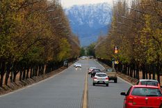 La entrada al Parque San Martín de Mendoza. Foto: ALF PONCE MERCADO / MDZ La entrada al Parque San Martín de Mendoza. Foto: ALF PONCE MERCADO / MDZ