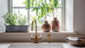 Un estudio de 2024 concluyó que los pesticidas producen distintos tipos de toxicidad. Foto: Nkuku