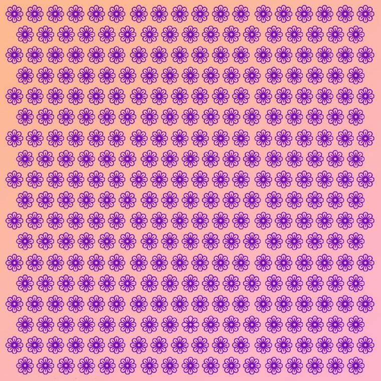 Acertijo visual, reto visual, flor