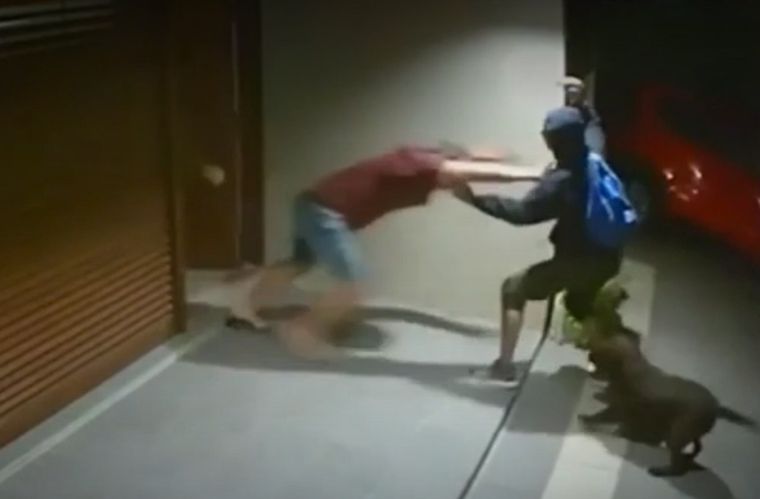 El padre se enfrentó al delincuente para defender a su hijo Foto: Captura de video