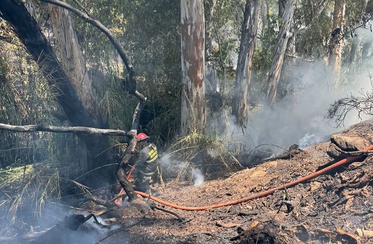 Las llamas no alcanzaron las casas del barrio La Favorita. Las llamas no alcanzaron las casas del barrio La Favorita.