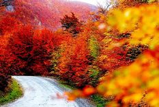 Este mágico enclave se ubica en Tierra del Fuego. Foto: Gobierno de Tolhuin