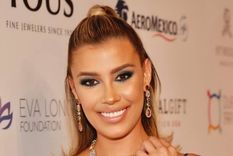 Michelle Salas, Luis Miguel